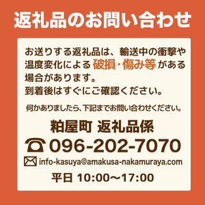 厳選海苔半切り海苔100枚 BA019-1