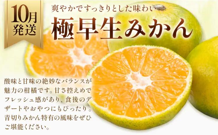 旬の プレミアム フルーツ 定期便 3ヶ月連続 秀品 ミニ 計4.9㎏ 日本フルーツ株式会社《8月上旬-10月末頃出荷》熊本県 荒尾市 シャインマスカット おまかせ 梨 極早生みかん 果物 フルーツ 