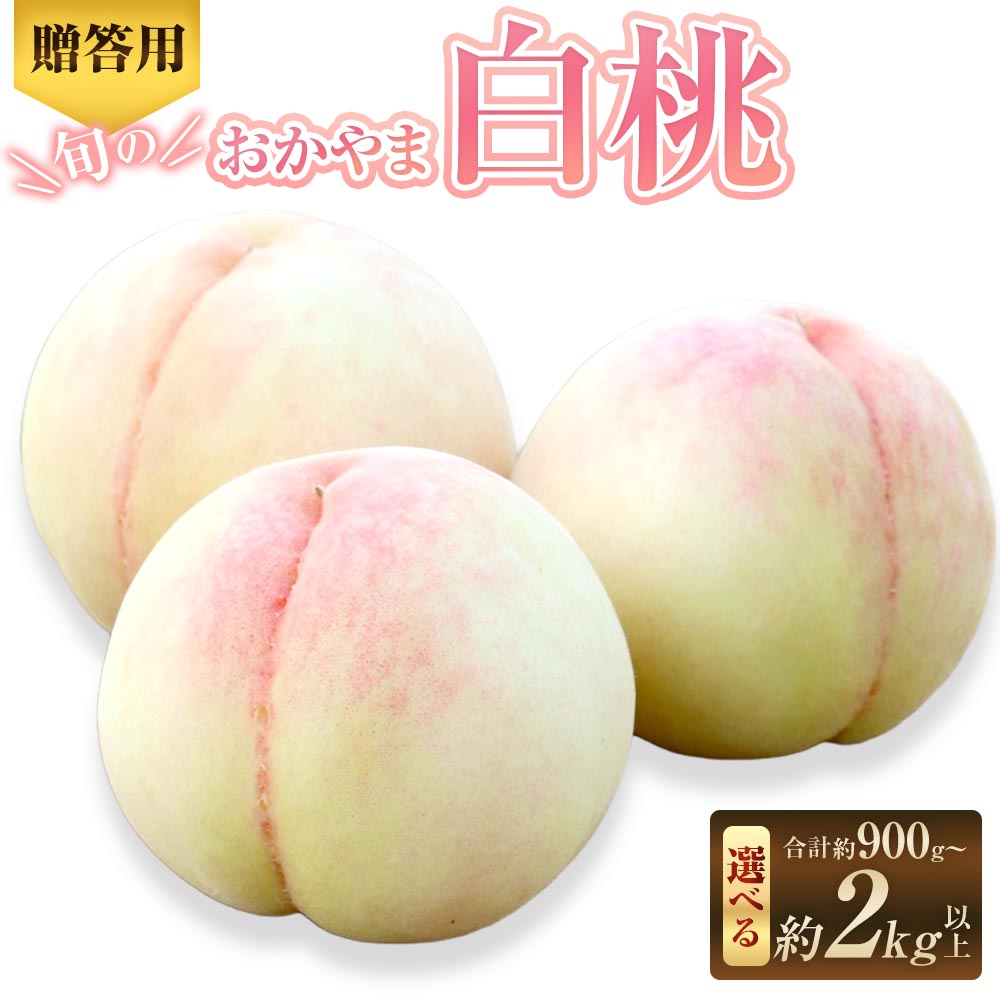 【ふるさと納税】＜選べる内容量＞【贈答用】旬のおかやま白桃 3玉（約900g） / 5〜6玉（約1.5kg以上） / 7〜9玉（約2kg以上） 白桃 桃 もも モモ フルーツ くだもの 果物 果実 デザート ギフト 贈答 国産 岡山県産 倉敷市 送料無料 【2026年7月上旬～8月下旬迄発送予定】