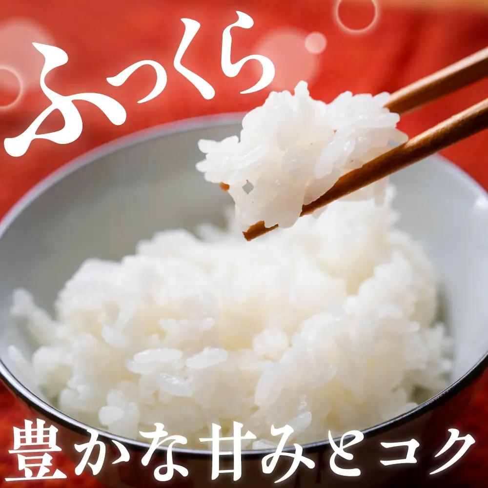 【最短1週間程度発送】 新潟県上越妙高産 新之助 10kg