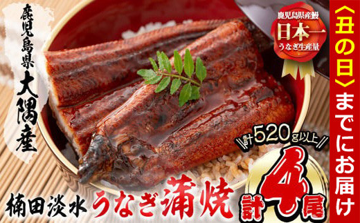【丑の日までに配送】楠田の極うなぎ蒲焼130g以上×4尾(計520g以上) 山椒付たれ 鰻 ウナギ 蒲焼 うな重 ひつまぶし 鹿児島 冷凍 おかず お祝い b3-013-us