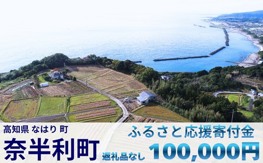 999999-4【応援寄附金】高知県奈半利町 1口 10万円 返礼品なしのご寄附　【奈半利町役場】