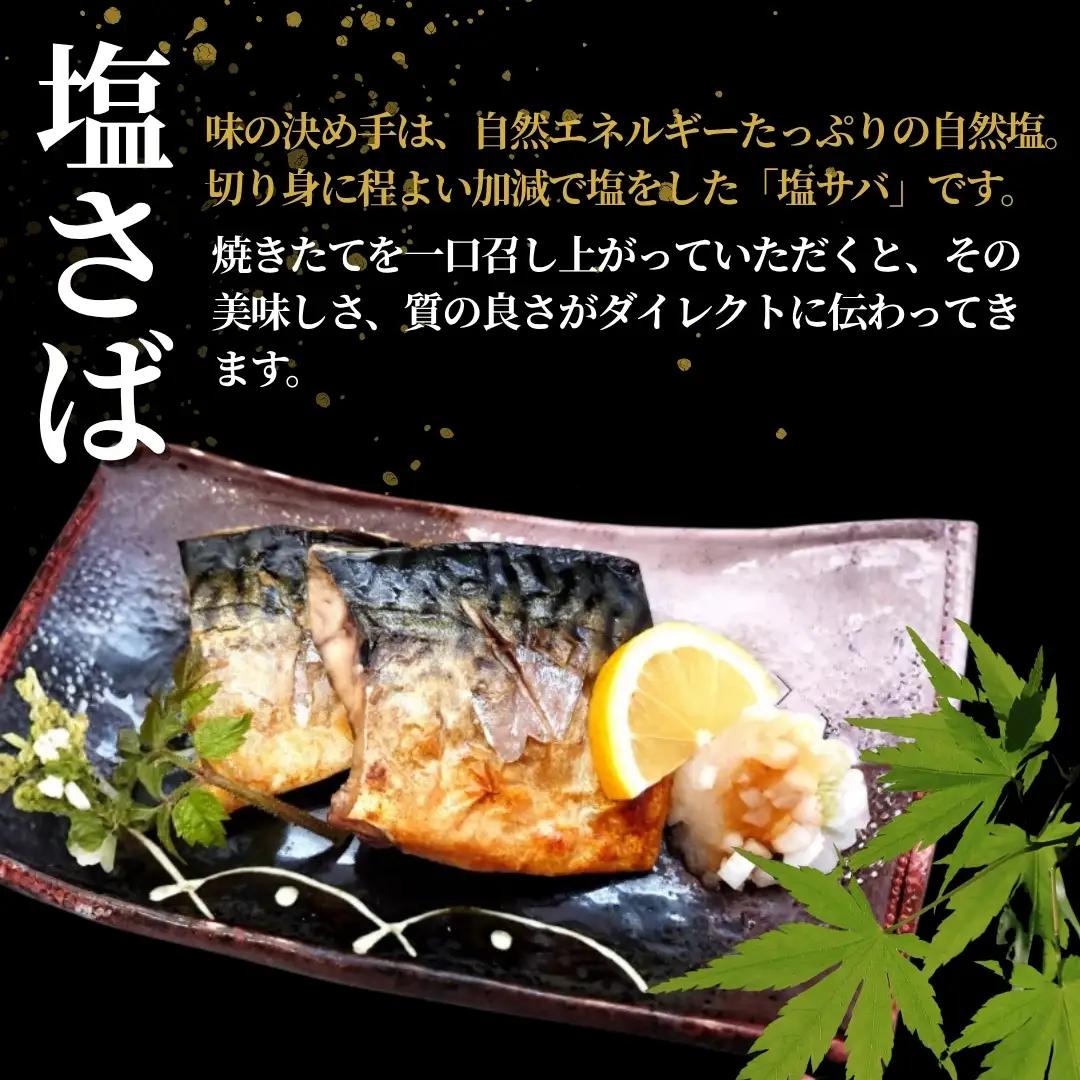 塩さば 合計10切入 約950g 吉雪｜新潟 さば
