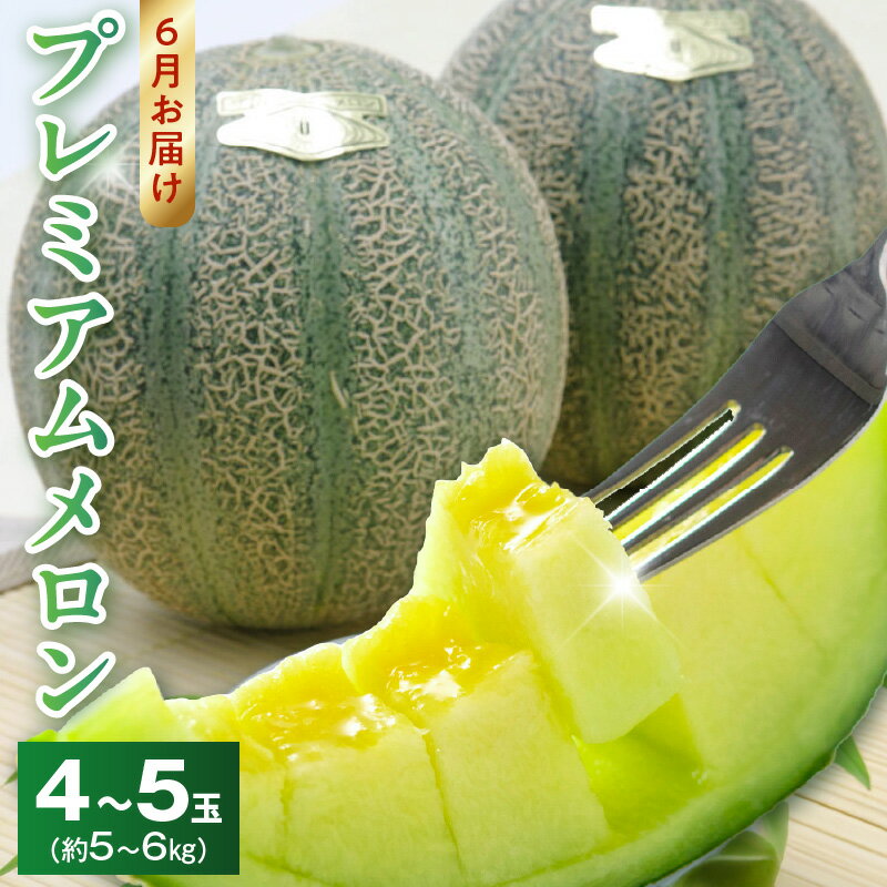【ふるさと納税】【6月お届け】 プレミアムメロン 1箱 4 ～5玉入り 希少 メロン 最高品質 厳選 甘味 香り なめらか 食感 ブランドメロン フルーツ 果物 デザート スイーツ おやつ ご褒美 特産品 お取り寄せ お取り寄せフルーツ 滋賀県 守山市 送料無料