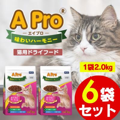 ふるさと納税 久留米市 A Pro 味わいハーモニー まぐろとサーモン味 2kg×6袋セット(久留米市)