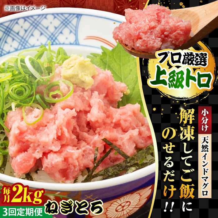 【ふるさと納税】【全3回定期便】天然 まぐろ ねぎとろ 約2kg（約250g×8パック） 鮪 マグロ 魚 ネギトロ とろ まぐろたたき マグロたたき 横須賀【横須賀商工会議所 おもてなしギフト事務局（本まぐろ直売所 横須賀本店）】[AKAK047]