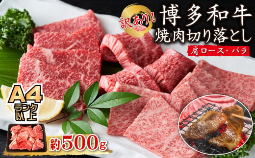 訳あり！【A4～A5】博多和牛焼肉切り落とし(肩ロース・バラ）500ｇ Y40-S