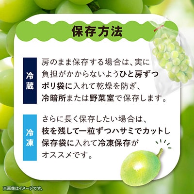 【2027年(来年)発送　先行受付】【訳あり】 池田青果のシャインマスカット2房～3房　1kg【配送不可地域：離島】