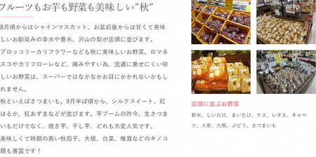 道の駅まくらがの里古河　季節の新鮮野菜おまかせAセット ※北海道・沖縄・離島への配送不可 _BQ03