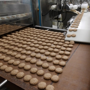 蔵王チーズハンバーグ30g　10個入×2袋【daif010】