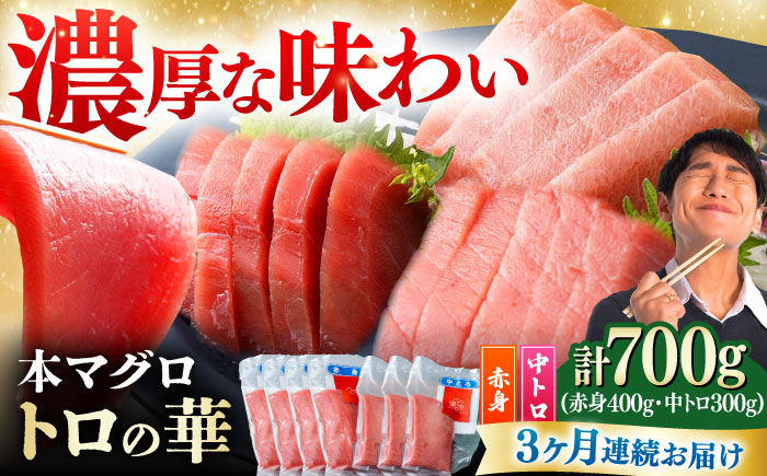 【全3回定期便】対馬産 本マグロ 700g（赤身400g、中トロ300g） ≪対馬市≫【桐谷商店】 トロの華 対馬 新鮮 マグロ トロ 鮪 刺身 鮮度抜群 [WAQ048]