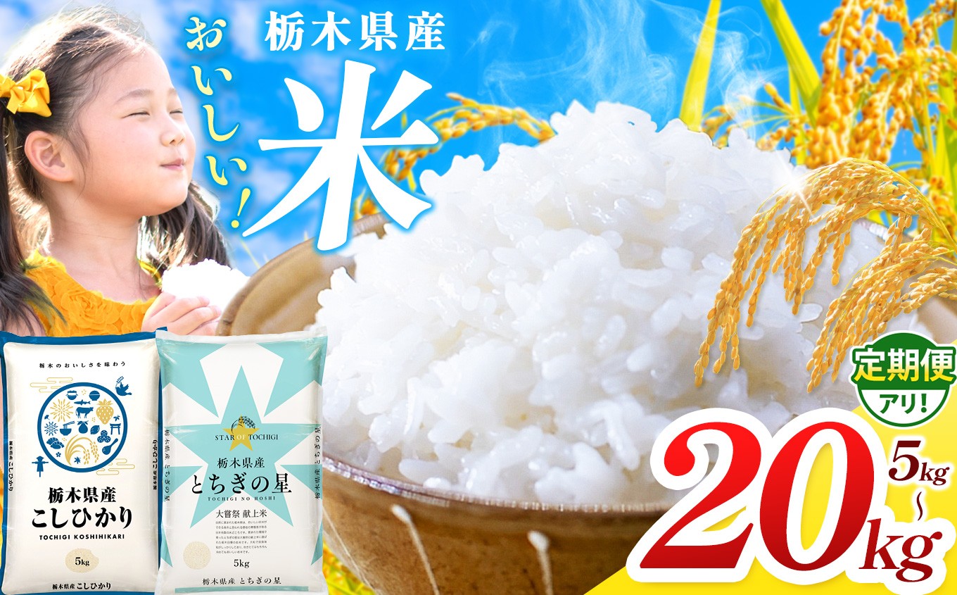 
                  【チョイス限定】　訳あり 栃木県産 コシヒカリ・栃木の星 選べる 銘柄 5kg~10kg  |  真岡市産 こしひかり コシヒカリ とちぎの星 銘柄 お米 米 おにぎり おむすび  ふるさと納税  栃木県 真岡市 送料無料 
                