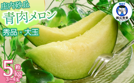 【令和8年産先行予約】 庄内砂丘青肉メロン 秀品 大玉 約5kg (3～4玉)　山形県鶴岡市産　株式会社 元青果