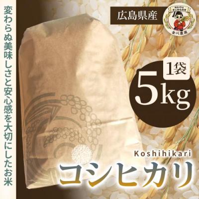 ふるさと納税 三原市 コシヒカリ 5kg 精米 [238-010]