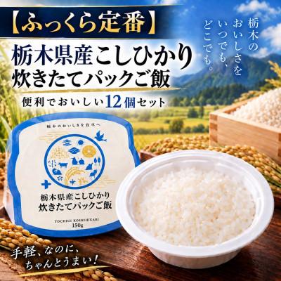 ふるさと納税 真岡市 【ふっくら定番】栃木県産こしひかり 炊きたてパックご飯　便利でおいしい12個セット