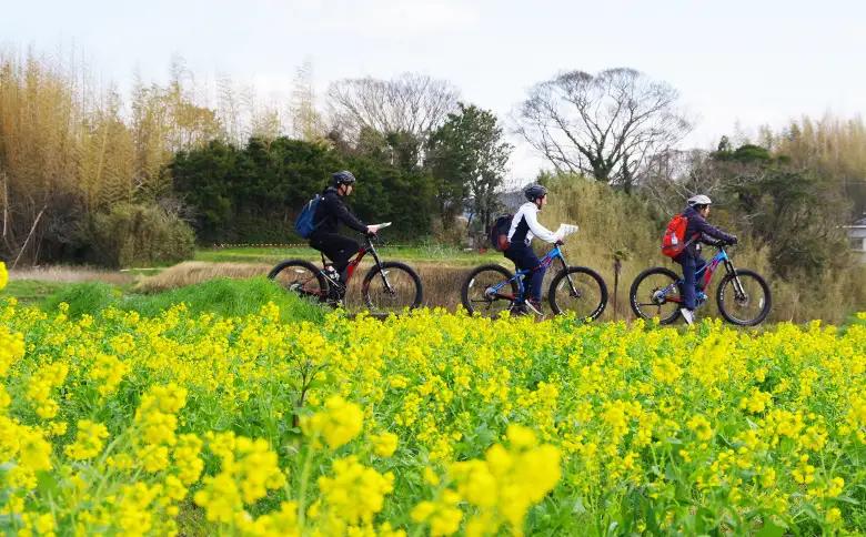 【かもちゃり＋】里山・里海RIDE『E-MTB（マウンテンバイク）』４時間レンタル利用券（大人１名）／《千葉県鴨川市》レンタサイクル 電動アシスト自転車 サイクリング 自転車レンタル サイクリング体験