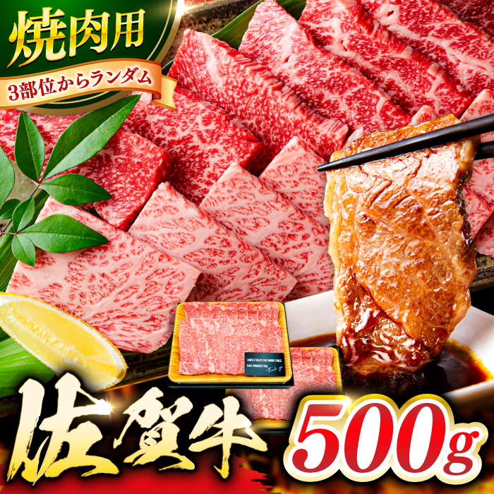 艶さし！ 佐賀牛 焼肉用 500g 吉野ヶ里町 [FDB008]