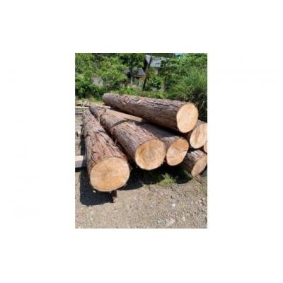 ふるさと納税 七宗町 ※岐阜県産桧の丸太