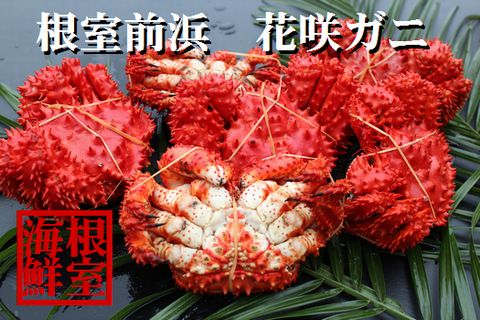 【北海道根室産】花咲ガニ4～6尾(計1.2kg) A-57037