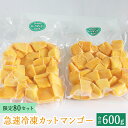 【ふるさと納税】【沖縄県今帰仁村産】 急速冷凍カットマンゴー　キーツ300g×2（限定80セット）