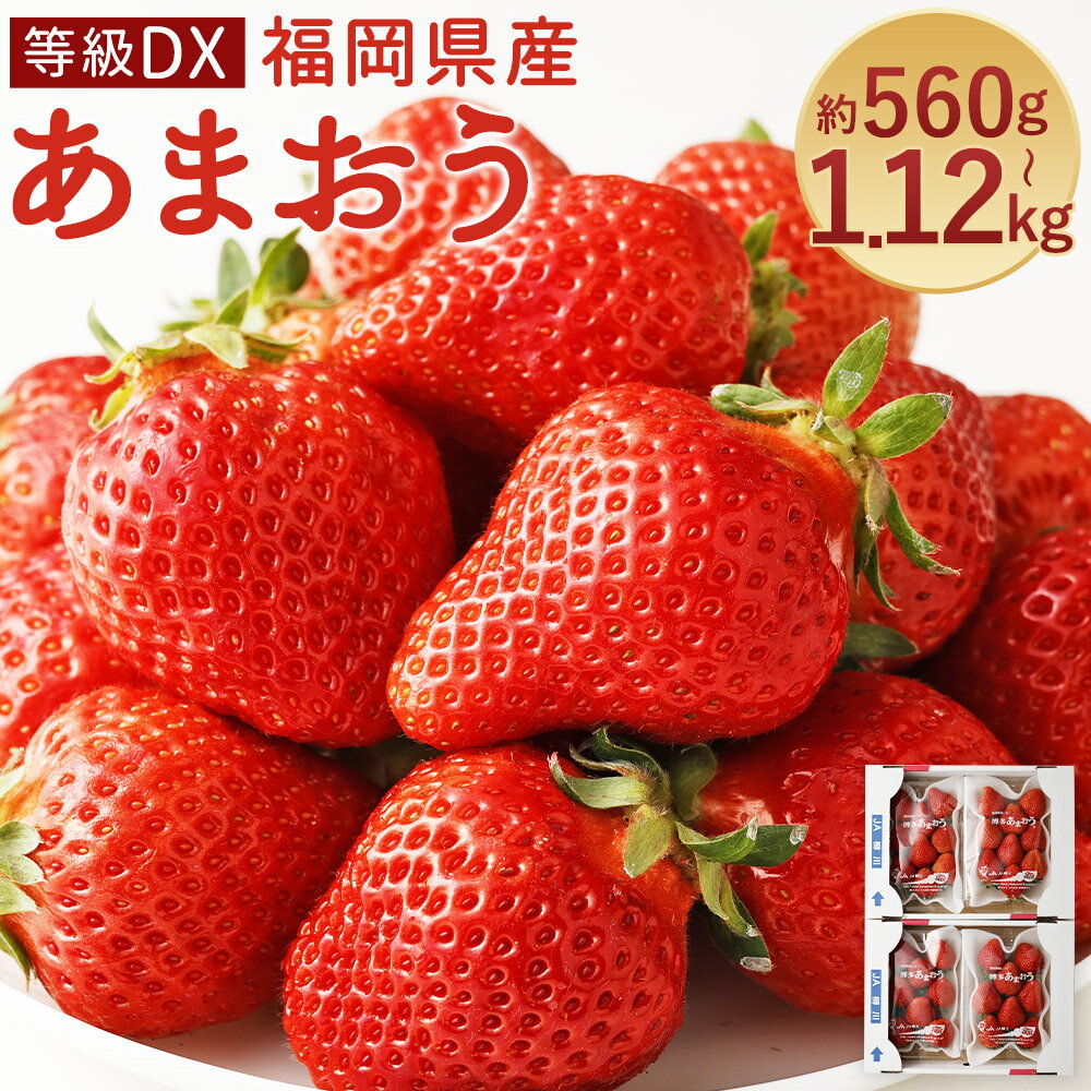 【ふるさと納税】あまおう 等級DX 約560g(2パック)/約1.12kg(4パック) 選べる内容量 1パック約280g 先行受付 事前予約 いちご 苺 フルーツ 果物 福岡県産 冷蔵 送料無料【2026年2月上旬～3月下旬に順次発送予定】