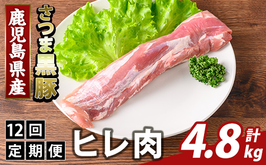 K-484-F ＜12回定期便＞鹿児島県産さつま黒豚 ヒレ肉(計4.8kg)【ふるさと産直バザール】霧島市 ヒレ肉 黒豚 国産 鹿児島県産 肉 精肉 定期便