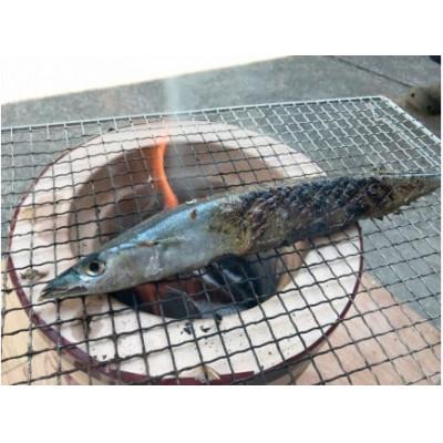 ふるさと納税 南伊豆町 【毎月定期便】湯の花 干物6種セット全2回 |  | 03