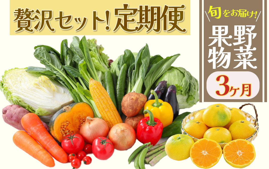 
湯の花　旬の野菜と果物セット３か月の定期便　柑橘 果物 野菜 静岡県産 南伊豆町 定期便 おまかせ 旬 みかん やさい
