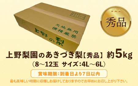 【先行予約】上野梨園のあきづき梨 5㎏箱入り（8～12玉入） / 梨園直送【上野の梨】 / 期間限定 果物 フルーツ 農家直送 シャキシャキ もぎたて 旬 お取り寄せ ※2025年9月下旬より順次発送