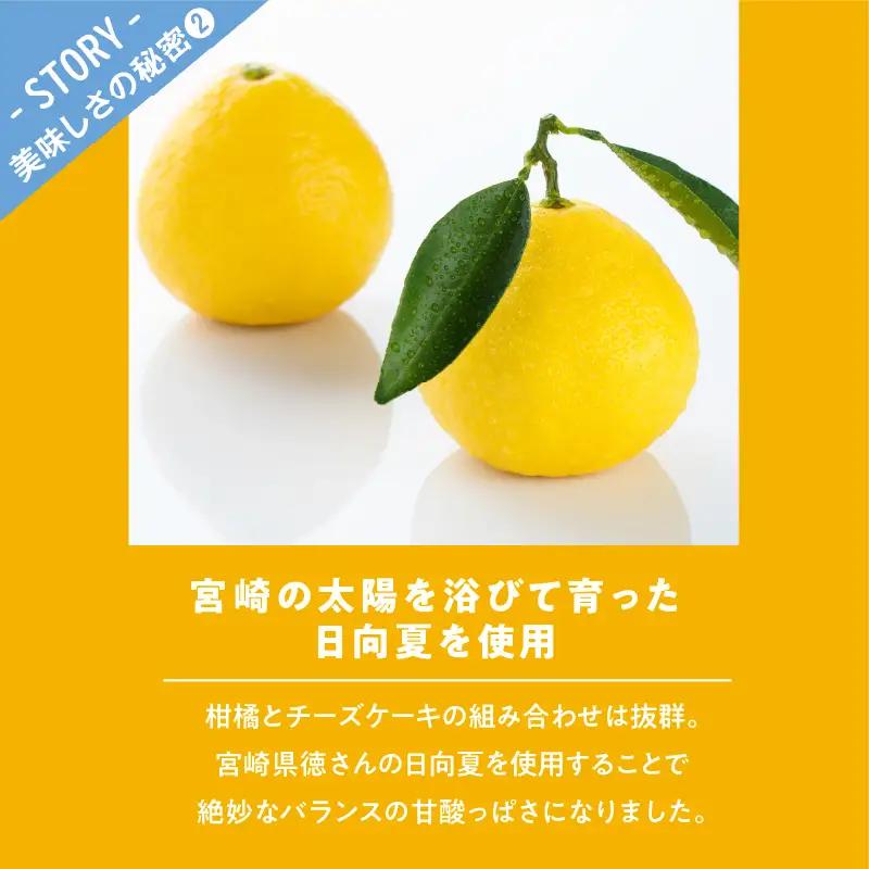 【2週間以内発送】農の都で生まれた「都のチーズケーキ」計1個 スイーツ 洋菓子 国産_T038-0095