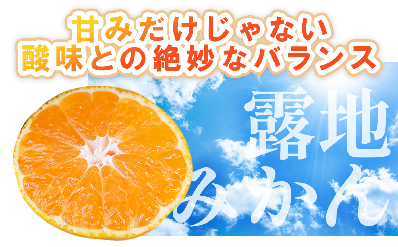 【2回定期便】ふじ農園の露地みかん 訳あり品 10kg(2S～M) - 5kg×2箱 計10kg 国産 小玉 蜜柑 ミカン 柑橘 果物 フルーツ 訳アリ ご家庭用 自宅用 ふじ農園 高知県 香南市【常
