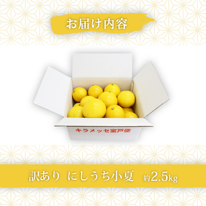 【訳あり】小夏2.5kg 柑橘みかん 美味しいみかん 旬のみかん みかん