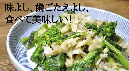 生 はなびらたけ | きのこ 長野県 飯田市