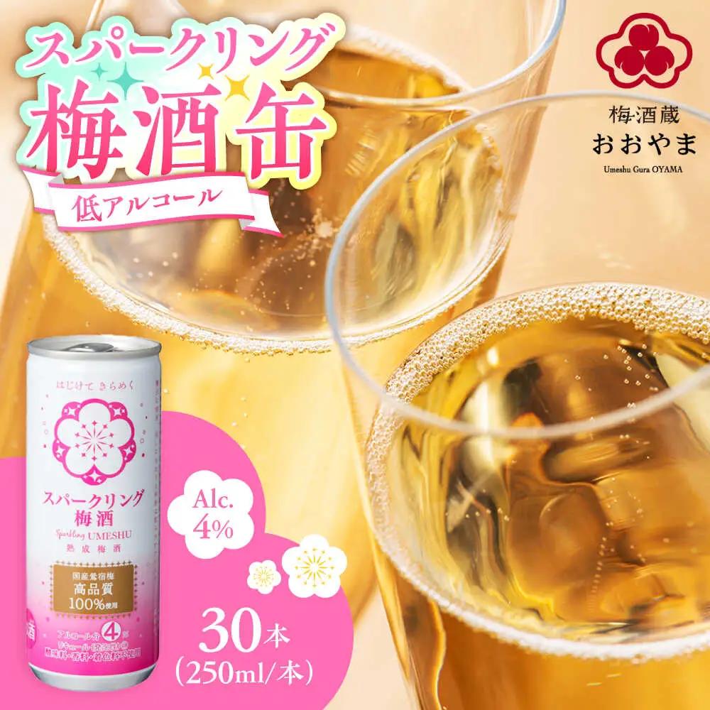 スパークリング梅酒 1ケース(250ml×30本入り) / 梅酒 本格梅酒 梅  / 日田市 / 株式会社おおやま夢工房[ARCW012]