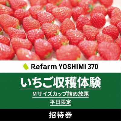 【ふるさと納税】【平日限定】詰め放題!いちご収穫体験チケット Refarm YOSHIMI 370【1697691】