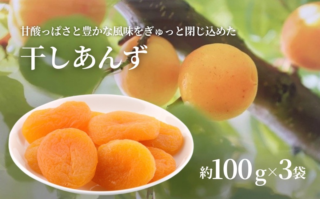 
                  干しあんず 約100g×3袋 ｜ ドライフルーツ ドライあんず ドライアプリコット 国産 果物 千曲市 長野県産 信州
                
