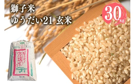 【令和7年産】獅子米 ゆうだい21 玄米30kg