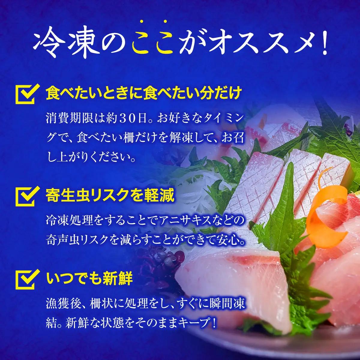 【偶数月 全3回 定期便】氷見漁港 海鮮刺身セット | 詰め合わせ 冷凍 刺身