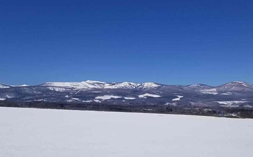 八幡平の冬は雪が多く、一面銀世界。