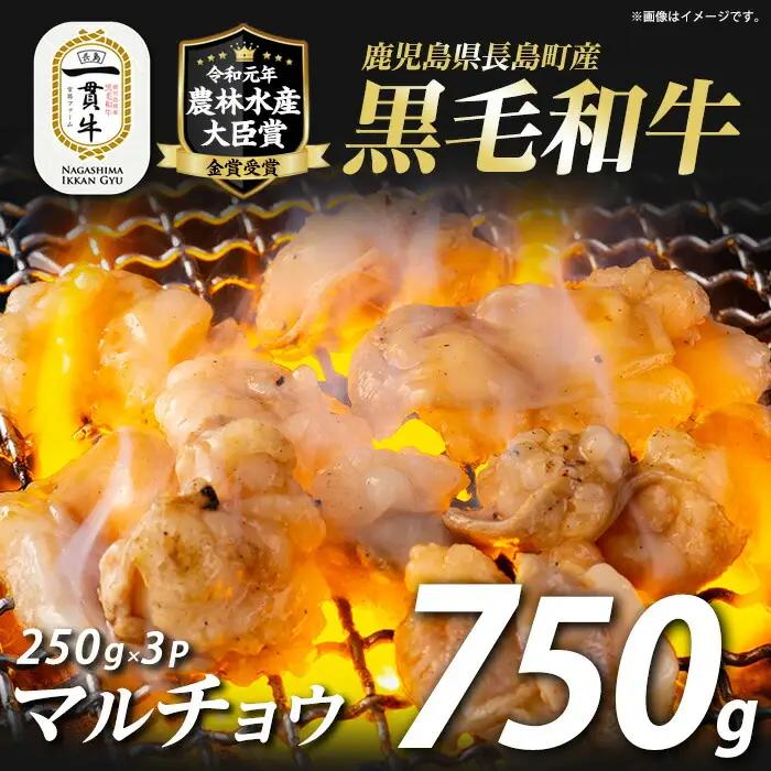 和牛カット済ホルモン（マルチョウ）250g×3パック 計750g ホルモン 牛肉 丸腸 焼肉 ホルモン 牛もつ もつ鍋 f-miyaji-7028