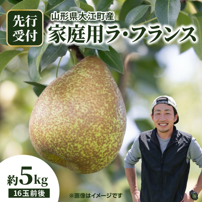 【ふるさと納税】大江町産 ラフランスご家庭用 5kg箱 16玉前後 ラフランス 山形 大江町 産地直送 家庭用 訳あり 5kg 5キロ 果樹園 直送 西洋梨 甘い 香り豊か 新鮮 フルーツ