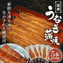 【ふるさと納税】国産うなぎ蒲焼 (5本) タレ付 / 和歌山 田辺市 国産 国産うなぎ 国産鰻 うなぎ 鰻 蒲焼 かば焼き 土用の丑の日 冷凍