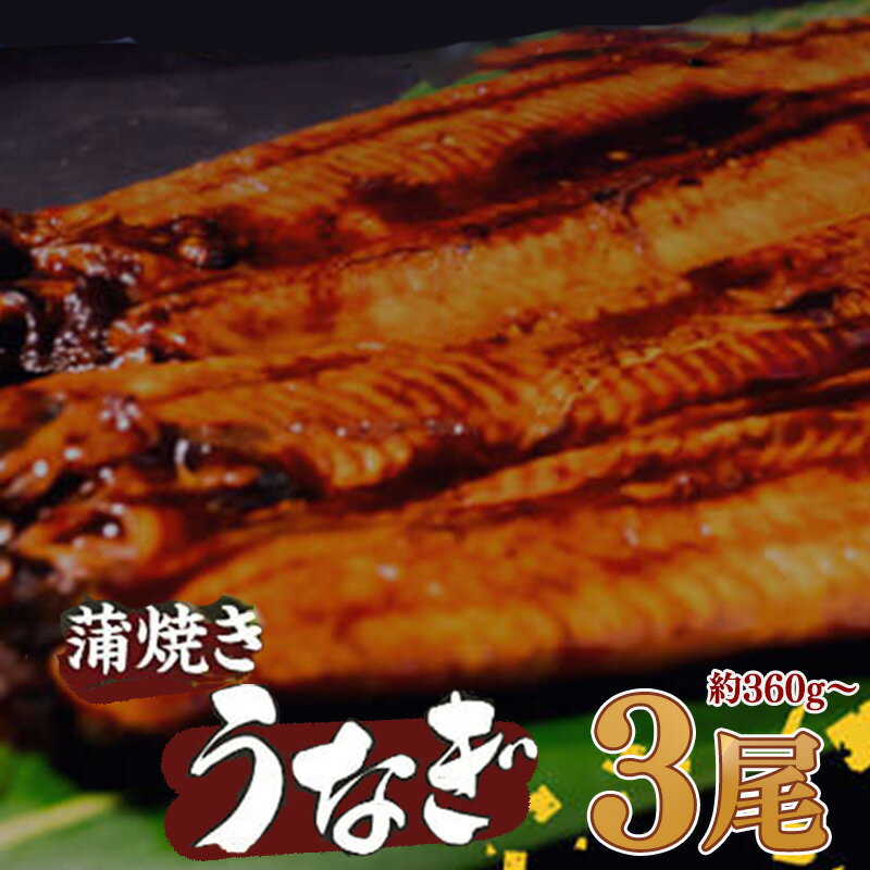 【ふるさと納税】 有頭 うなぎ 蒲焼 3尾 360g以上（ 120g～140g × 3尾 ）| 尾頭付き 土用の丑の日 鰻 ひつまぶし うな丼 うな重 お歳暮 ギフト 冷凍 養殖 ふるさと納税うなぎ 高知県 須崎市 秘伝タレ付き 真空パック 惣菜 人気 ランキング おすすめ 母の日 父の日 ME0121_x
