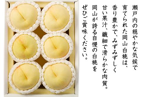 74-03岡山白桃5～6玉（1.2kg以上）【2024年7月上旬～8月上旬頃発送予定】