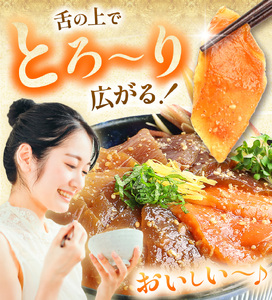 【 定期便6回 】 "とろだく” ごま醤油 海鮮丼 カツオ 約 1kg | 熊本県 和水町 くまもと なごみ 魚 海鮮 肥後 海鮮丼 スライス 冷凍 漬け さかな 漬け丼 小分け 数量限定 人気 熊本
