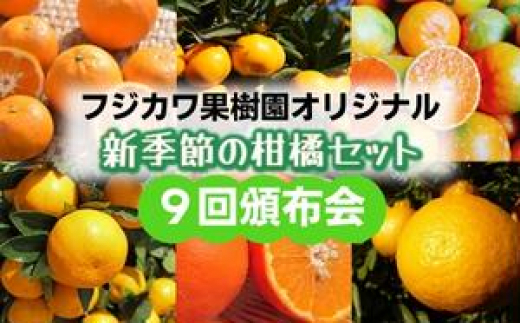 
【9回頒布会】フジカワ果樹園オリジナル・新季節の柑橘セット
