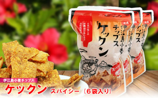 伊江島産全粒粉を使った　伊江島小麦チップス『ケックン』スパイシー味×6袋 EM 独特な風味 軽い食感 ご当地 おやつ おつまみ トルティーヤチップス ワカモレ サルサ お気に入り 美味しい 人気 沖縄 離島 クセになる 国産 お土産 送料無料 産地直送 楽しみ