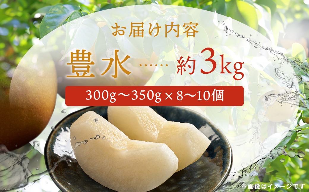 【先行予約】群馬県産梨「豊水」約3kg(8～10個)【9月上旬～9月中旬発送予定】ANAH005