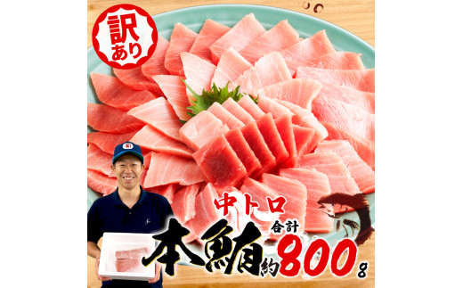 【組み合わせが選べる】 訳あり 本まぐろ 中とろ 中とろ セット 約 800g 不定型柵 鮪 まぐろ 中トロ 冷凍 鮪 漬け マグロ ユッケ 海鮮 本マグロ 本まぐろ 人気 まぐろ おいしい まぐろ 静岡 藤枝
