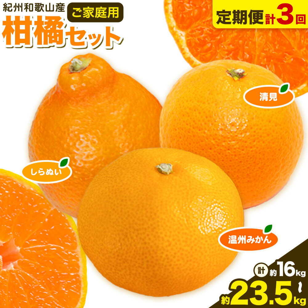 【ふるさと納税】【発送月固定定期便】紀州 和歌山産 旬の ご家庭用 柑橘 セット (みかん 不知火 清見)【全3回】選べる 計16kg 計23.5kg 株式会社魚鶴《2026年1月上旬-4月上旬頃出荷》 和歌山県 日高町 みかん 不知火 清見 オレンジ 柑橘 蜜柑 果物 訳あり 送料無料 定期便